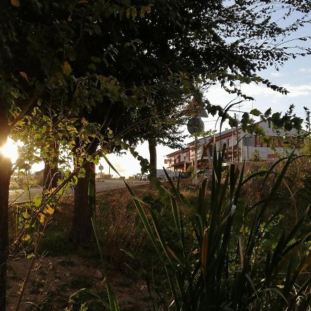 Hostal Miguel Hernandez Munera Exterior foto